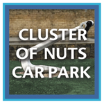 Menu link to Cluster of Nuts