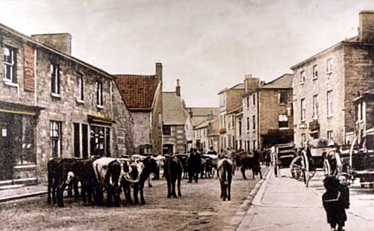 C1900 view of the Monday Cattle Market in Victoria Street